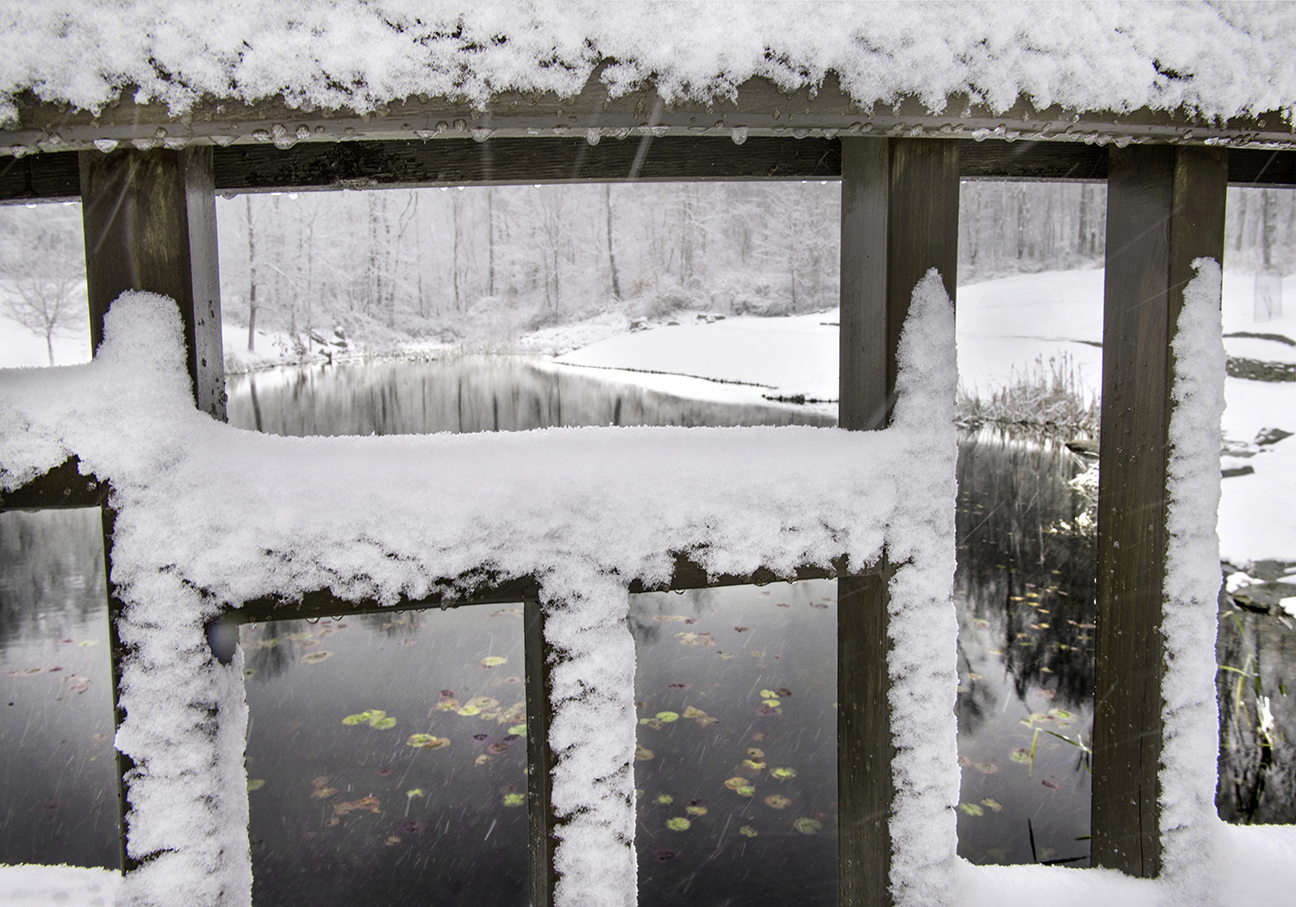 201201_goldsmith_botanic_garden_snow0181X__lowRz