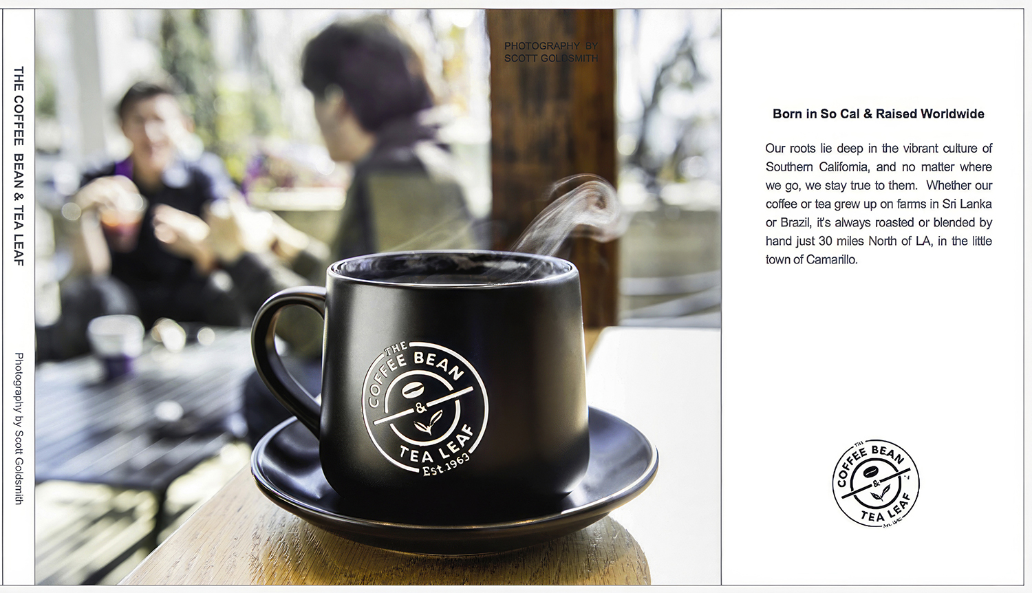 coffeeBeancoverwebsize