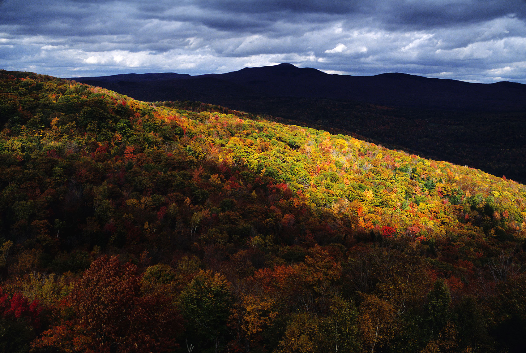 landscape_srg_040